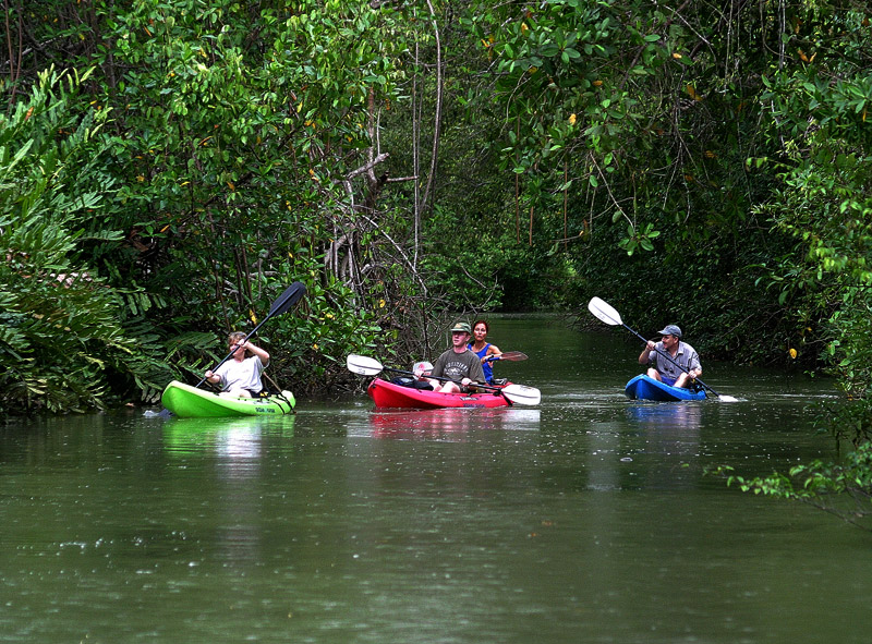 Kayaking at manglar, Manuel Antonio, Quepos, Costa Rica